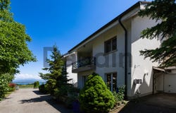 Founex, Vaud 1297