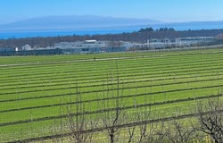 Etoy, Vaud 1163