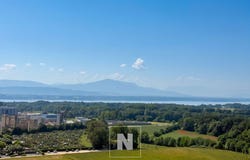 Gland, Vaud 1196