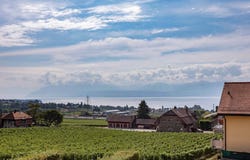 Mont-sur-Rolle, Mont-sur-Rolle, Vaud 1185
