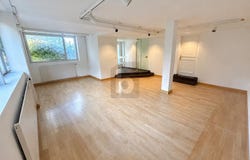 Pfaffhausen, Zürich (canton) 8118