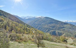 Vernamiège, Valais 1961