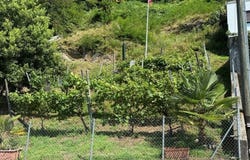 Via Mulini, Gordoloa, Ticino 6596