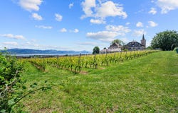 Etoy, Vaud 1163