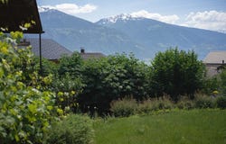 Noble-Contrée, Valais 3973