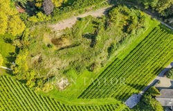 Dully, Vaud 1195
