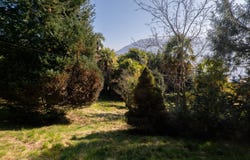 Minusio, Ticino 6648