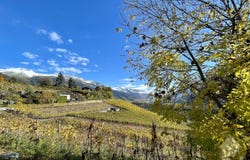 Venthône, Valais 3973