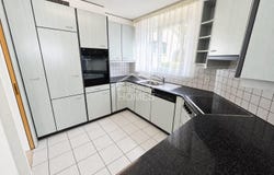 Triengen, Lucerne (canton) 6234