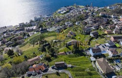 Brissago, Ticino 6614