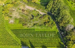 Dully, Vaud 1195