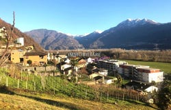 Gudo, Ticino 6515