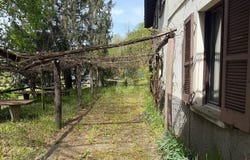 Su richiesta, Purasca, Ticino 6989