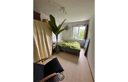Effretikon, Zürich (canton) 8307