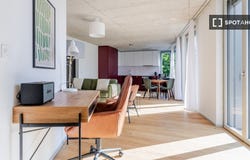 zurich, Zürich (canton) 8050