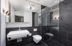 Kanton Zürich, Zürich (canton) 8605
