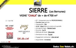 Sierre, Sierre, Valais 3960