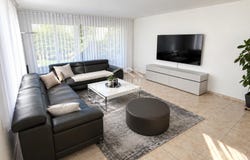 Triengen, Lucerne (canton) 6234