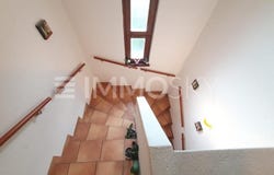 Cadenazzo, Ticino 6593