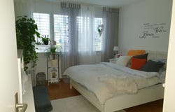 Landvogt-Waser-Strasse 79, Winterthur, Zürich (canton) 8405