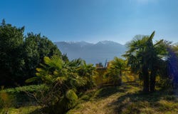 Minusio, Ticino 6648