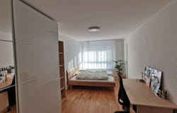 Frauenfeld, Thurgau 8500