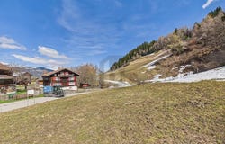 Obersaxen, Grisons 7134