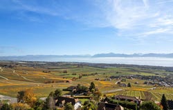 Féchy, Féchy, Vaud 1173