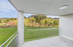 Dicken, St. Gallen (canton) 9115