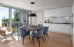 Kanton Zürich, Zürich (canton) 8605