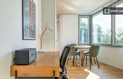 zurich, Zürich (canton) 8050