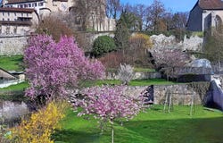 Lucens, Vaud 1522