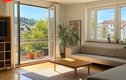 8833, Richterswil, Zürich (canton)