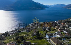 Brissago, Ticino 6614