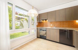 Buchzelgstrasse 21, Zürich, Zürich (canton) 8053