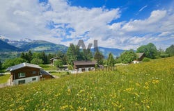 Mira, Obersaxen, Grisons 7134