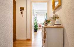 Pfaffhausen, Zürich (canton) 8118
