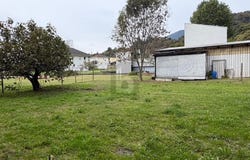 Su richiesta, Castelrotto, Ticino 6980