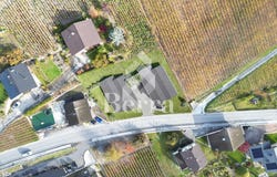 Flanthey, Flanthey, Valais 3978