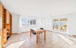 Zone villa, Chamoson, Valais 1955