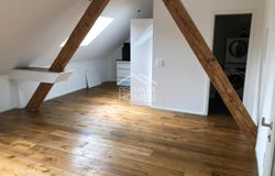 Biberist, Solothurn (canton) 4562