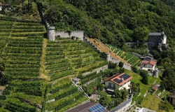 Sementina, Ticino 6514