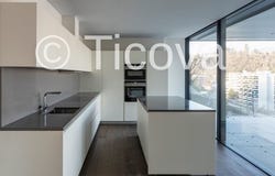 Paradiso, Ticino 6900