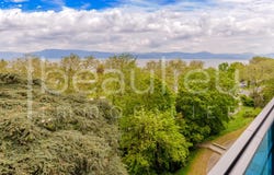 Morges, Vaud 1110