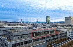 Zürich, Zürich (canton) 8005
