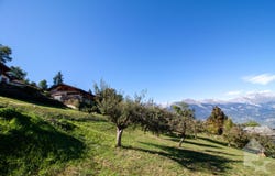 Basse-Nendaz, Valais 1996