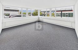 Biberist, Solothurn (canton) 4562