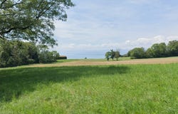 Lutry, Vaud 1095