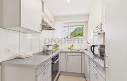 Sargans, St. Gallen (canton) 7320