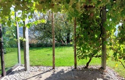 Agra, Ticino 6927